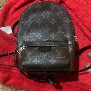 Louis Vuitton Palm Springs mini back pack no scratches no tears used twice.